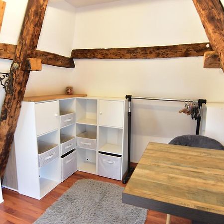 Apartament Le Duplex Carnot Annecy Zewnętrze zdjęcie