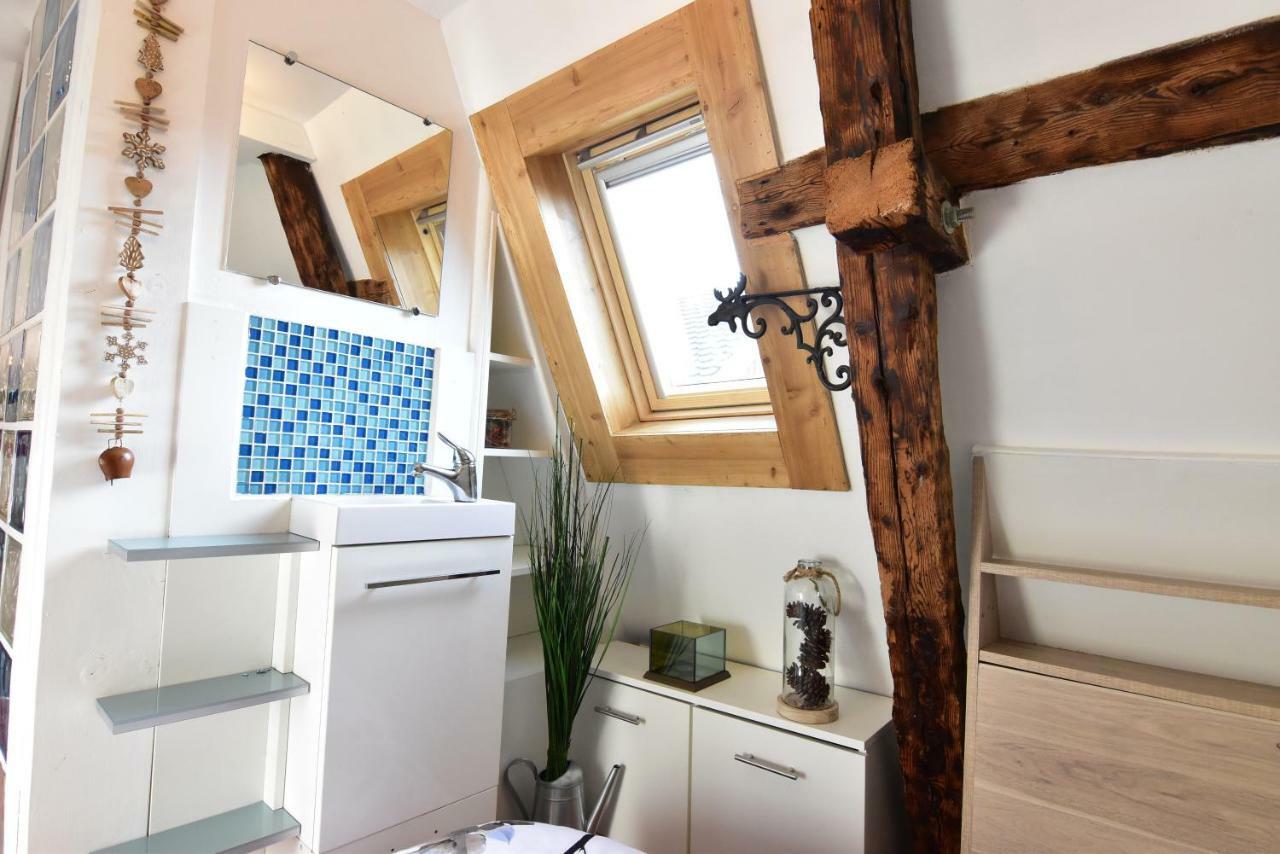 Apartament Le Duplex Carnot Annecy Zewnętrze zdjęcie